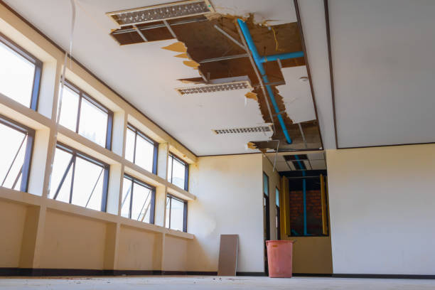 Best Water damage restoration near me  in Providence Village, TX