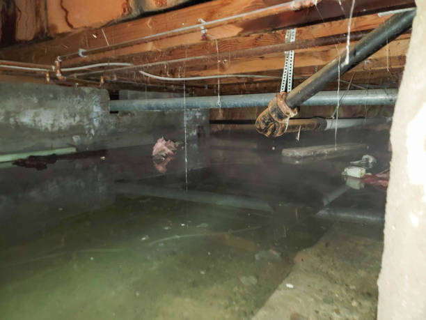 Best Water damage restoration process  in Providence Village, TX