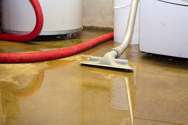 Best Local water damage restoration  in Providence Village, TX