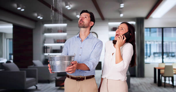 Best Ceiling water damage repair  in Providence Village, TX